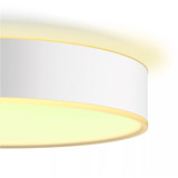 Philips HUE White Ambiance Devere Deckenleuchte M, LED-Leuchte silber, inkl. Dimmschalter