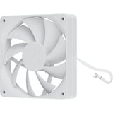 HYTE FA12, Gehäuselüfter weiß, 4er Pack, 120 mm