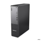 Lenovo ThinkCentre neo 55s Gen 6 (13G0000EGE), PC-System schwarz, Windows 11 Pro