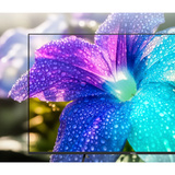 Medion LIFE MD 855602, QLED-Fernseher 138.8 cm (55 Zoll), schwarz, UltraHD/4K, Triple Tuner, VIDAA