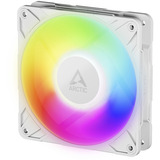 ARCTIC P12 Pro A-RGB, Gehäuselüfter weiß, 120 mm