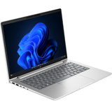 HP ProBook 4 G2a 14 AI (DL9P8ET), Notebook silber, AMD Ryzen 5 230, AMD Radeon 760M, 16 GB LPDDR5X, 512 GB (512 GB SSD), Windows 11 Pro