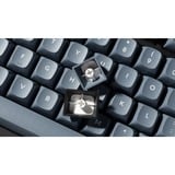 Keychron V1 Knob, Gaming-Tastatur schwarz/blaugrau, DE-Layout, Keychron K Pro Brown, Hot-Swap, RGB, PBT