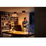 Philips Hue White Ambiance Pillar Doppelspot, LED-Leuchte schwarz, inkl. Dimmschalter