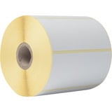 Brother BDE-1J050102-102 Etikettenrolle 8 Rollen