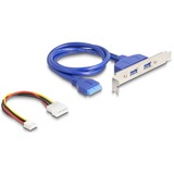 DeLOCK Konverter M.2 Key B+M Stecker > 2 x USB 5 Gbps Typ-A, Schnittstellenerweiterung 