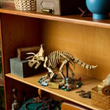 LEGO 77985 Jurassic World Dinosaurier-Fossilien: Triceratops, Konstruktionsspielzeug 