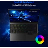Medion ERAZER Beast 16 X1 Ultimate (MD600089), Gaming-Notebook schwarz, Intel® Core™ Ultra 9 290HX Plus, NVIDIA GeForce RTX 5080, 32 GB DDR5, 1 TB (1 TB SSD), Windows 11 Home