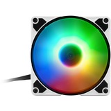 Sharkoon SilentStorm 120 PWM RGB Fan, Gehäuselüfter 120 mm