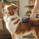 Thomas Fellpflege-Set, 6-teilig, Staubsauger-Aufsatz schwarz/grau, mit 3 austauschbaren Kämmen