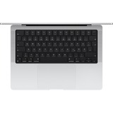 Apple MacBook Pro (14") 2024 CTO, Notebook silber, 64 GB, 2 TB (2 TB SSD), M4 Max, MacOS, Deutsch
