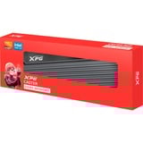 ADATA DIMM 16 GB DDR5-6400 (1x 16 GB), Arbeitsspeicher grau, AX5U6400C3216G-CCAGY, XPG Caster, INTEL XMP