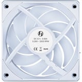 Lian Li UNI FAN CL120 Wireless, Gehäuselüfter weiß, 3er Set, 120 mm