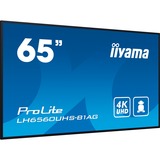 iiyama ProLite LH6560UHS-B1AG, Public Display schwarz, UltraHD/4K, IPS, Lautsprecher