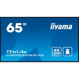 iiyama ProLite LH6560UHS-B1AG, Public Display schwarz, UltraHD/4K, IPS, Lautsprecher