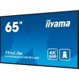iiyama ProLite LH6560UHS-B1AG, Public Display schwarz, UltraHD/4K, IPS, Lautsprecher