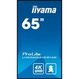 iiyama ProLite LH6560UHS-B1AG, Public Display schwarz, UltraHD/4K, IPS, Lautsprecher