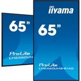 iiyama ProLite LH6560UHS-B1AG, Public Display schwarz, UltraHD/4K, IPS, Lautsprecher