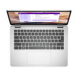 Dell Pro 13 Plus (KNTR7), Notebook silber, Intel® Core™ Ultra 7 268V, Intel® Arc™ Graphics 140V, 32 GB LPDDR5X, 512 GB (512 GB SSD), Windows 11 Pro