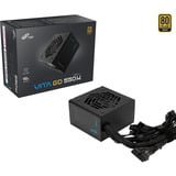 FSP VITA GD 550W, PC-Netzteil schwarz, 4x PCIe, 550 Watt