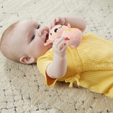 Fisher-Price Sensorische Erlebnisse Geschenkset, Beißring 4 sensorische Spielzeuge