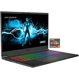 Medion ERAZER Beast X25 (30033700), Gaming-Notebook schwarz, Windows 11 Home 64-Bit, 165 Hz Display, 1 TB SSD