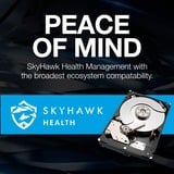 Seagate SkyHawk 1 TB, Festplatte SATA 6 Gb/s, 3,5"
