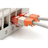 Digitus Farbclips für Patchkabel -  Orange, Abdeckung orange