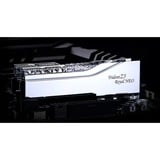G.Skill DIMM 32 GB DDR5-8000 (2x 16 GB) Dual-Kit	, Arbeitsspeicher silber, F5-8000J3848H16GX2-TR5NS, Trident Z5 Royal Neo, AMD EXPO