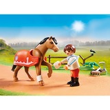 PLAYMOBIL 70516 Country Sammelpony "Connemara", Konstruktionsspielzeug 