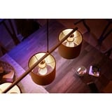 Philips HUE White Tropfenform P45 E14, LED-Lampe ersetzt 40 Watt