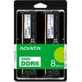 ADATA DIMM 16 GB DDR5-5600 (2x 8 GB) Dual-Kit, Arbeitsspeicher schwarz, AD5U56008G-DT, Premier Tray