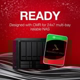 Seagate IronWolf Pro NAS 22 TB CMR, Festplatte SATA 6 Gb/s, 3,5"