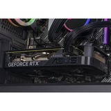 ALTERNATE Gaming-PC Special Edition • RTX 4060 • AMD Ryzen™ 5 5600 • 16 GB RAM schwarz, Windows 11 Home 64-Bit