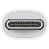 Apple Thunderbolt Adapter, USB-C Stecker > Thunderbolt Buchse weiß