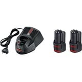 Bosch Professional Akku-Bohrschrauber GSR 12V-15 FC Professional, 12Volt blau/schwarz, 2x Li-Ionen Akku 2,0Ah, in L-BOXX