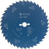 Bosch Professional EXPERT Wood Kreissägeblatt, Ø 165mm, 24Z Bohrung 20mm, für Handkreissägen