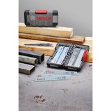 Bosch Säbelsägeblatt-Satz Wood and Metal Basic, 15-teilig in ToughBox