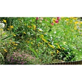 GARDENA Beeteinfassung, 15cm hoch, Begrenzung braun