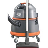 Thomas Boxer , Nass-/Trockensauger grau