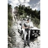 Wera 8767 C HF 3 Zyklop Bitnuss-Satz Sechsrund, Bit-Satz 9-teilig, 1/2", T20 bis T60, mit Haltefunktion