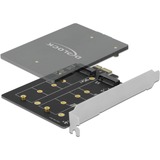 DeLOCK PCI Express x1 Karte zu 2 x intern M.2 Key B, Adapter 