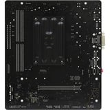ASRock A520M-HVS, Mainboard 