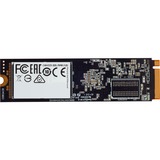 Corsair Force MP510B 480 GB, SSD schwarz, PCIe 3.0 x4, NVMe, M.2 2280
