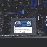 Patriot P210 256 GB, SSD schwarz, SATA 6 Gb/s, 2,5"