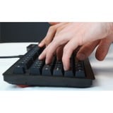 Das Keyboard 4 Professional, Gaming-Tastatur schwarz, DE-Layout, Cherry MX Brown