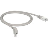 DeLOCK Patchkabel RJ-45 Cat.6a S/FTP grau, 1 Meter, 1x gerader, 1x unten gewinkelter Stecker