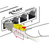 DeLOCK RJ45 Secure Cat. 6A, Kabel weiß, 3 Meter, verriegelbar, LSOH Halogenfrei