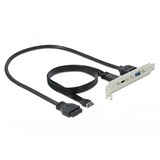 DeLOCK USB 3.2 Gen 2 Slotblende, Key A Stecker + 19 Pin > USB-C + USB-A Buchse schwarz, 50cm Kabel, Laden mit bis zu 60 Watt