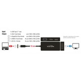 DeLOCK USB Adapter, USB-C Stecker > VGA + HDMI + DVI + DisplayPort Buchse schwarz, 15cm